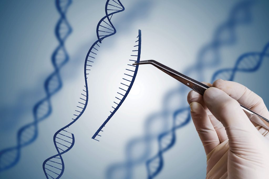 Pioneering Progress in CRISPR-Based Genome Editing